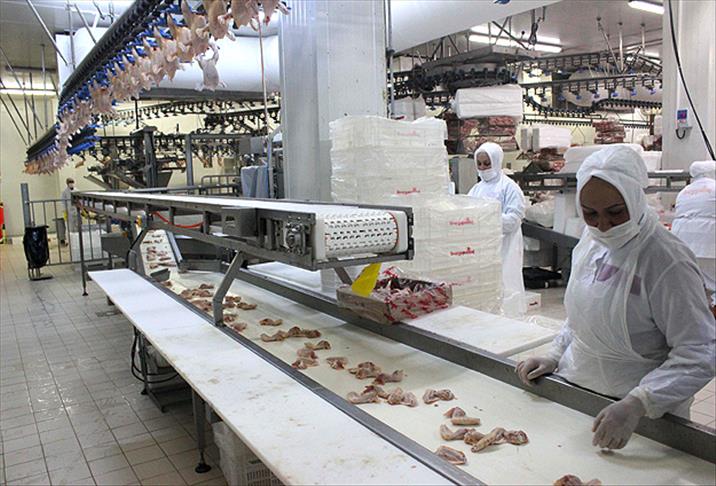 Beyaz et sektörünün "Rusya umudu" sürüyor