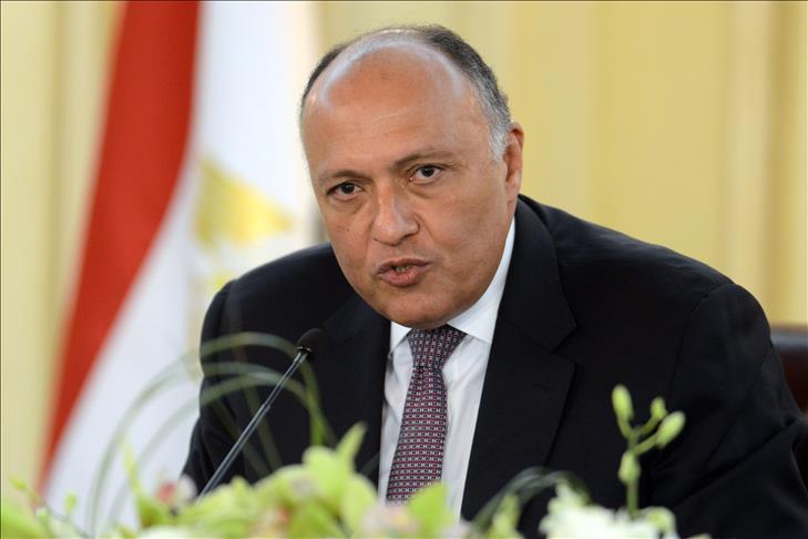 Egypt FM says Syria opposition agrees to go to Moscow