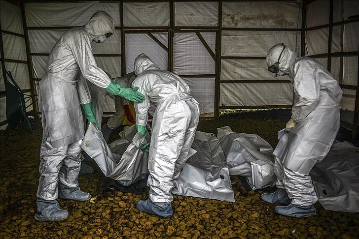 Ebola: 2015, l'année de tous les espoirs pour la Guinée