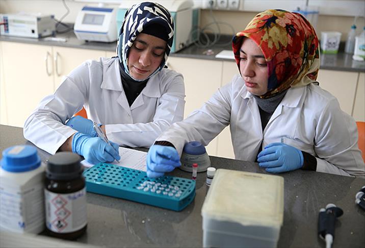 Ekmek israfına "ekşi hamurlu" çözüm