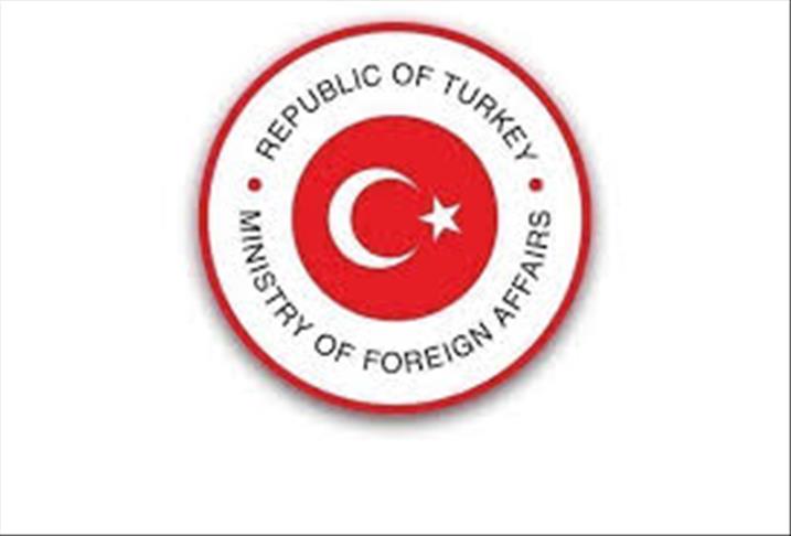 Turkey strongly condemns execution of Japanese hostage