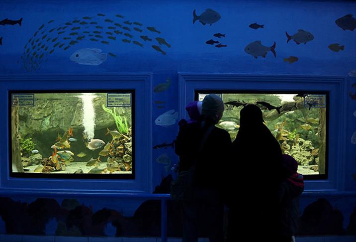 Gaziantep Hayvanat Bahçesi 3 milyon ziyaretçi hedefliyor