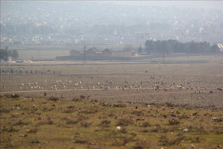 Syrian Observatory: Kobani 'free of ISIL fighters'