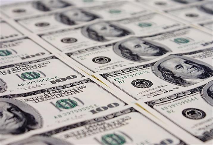 Dolar 2,50 TL sınırına yükseldi