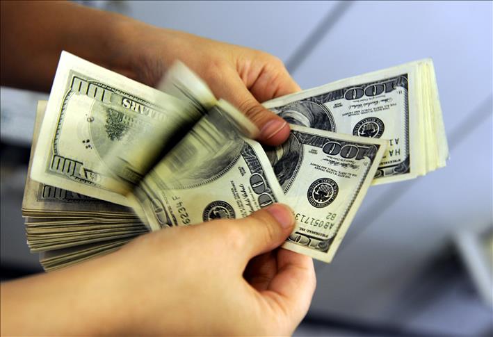 Dolar 2,50'yi aştı