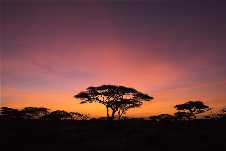 Shtegtimi më i madh i kafshëve në Afrikë filloi më herët për shkak të mungesës së shiut