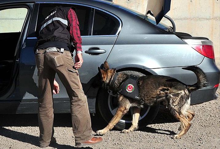 Security forces prevent bomb scare in Turkey south