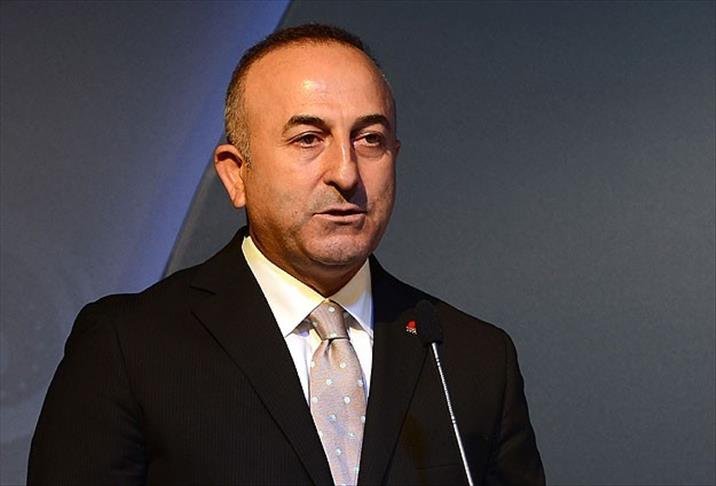 Turkish FM rules out British spotters in Istanbul