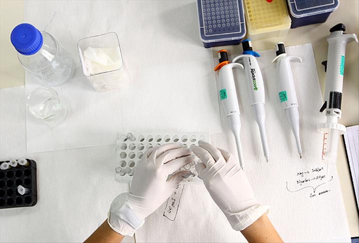 Kan testi gereksiz antibiyotik kullanımını engelleyebilir