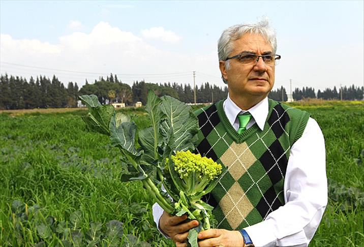 Sofralara "inovatif" lezzetler geliyor