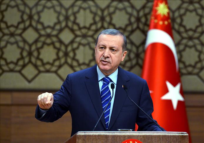 Turkey: Erdogan rejects criticism of presidential system
