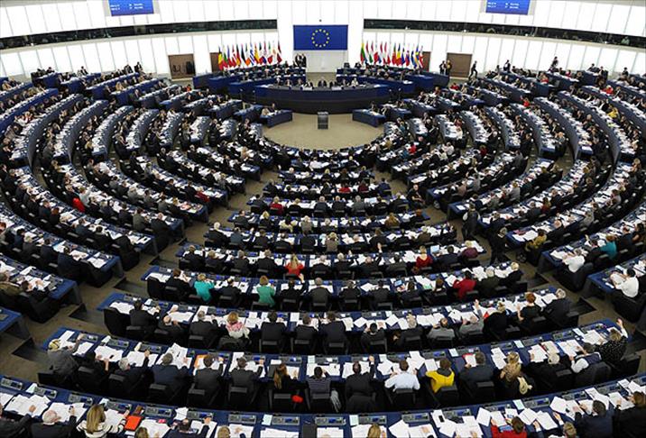 Avrupa Parlamentosu'na "dengeli" karar çağrısı
