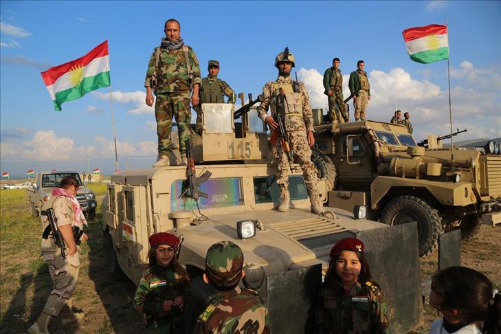 Peshmerga retake 11 villages from Daesh in north Iraq: US