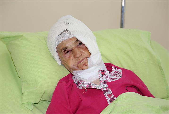 92 yaşındaki yaşlı kadına ayı saldırdı