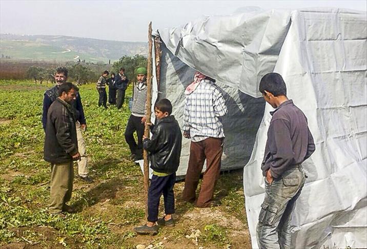 Savaştan kaçan Suriyeliler "tarlalara" sığınıyor