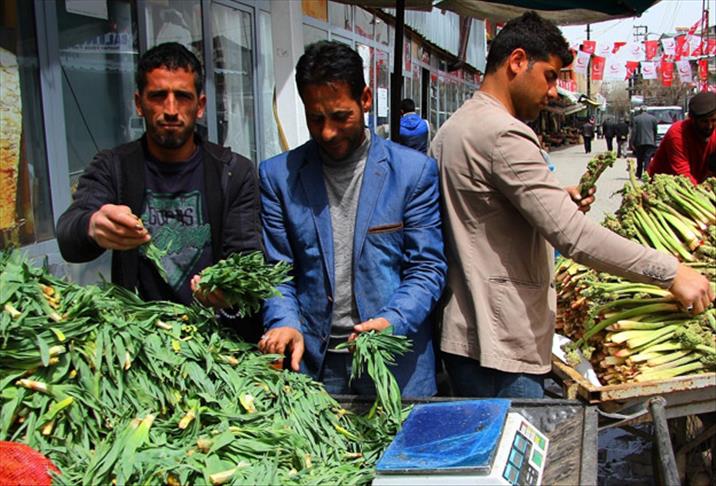 Şifalı otlar geçim kaynakları oldu