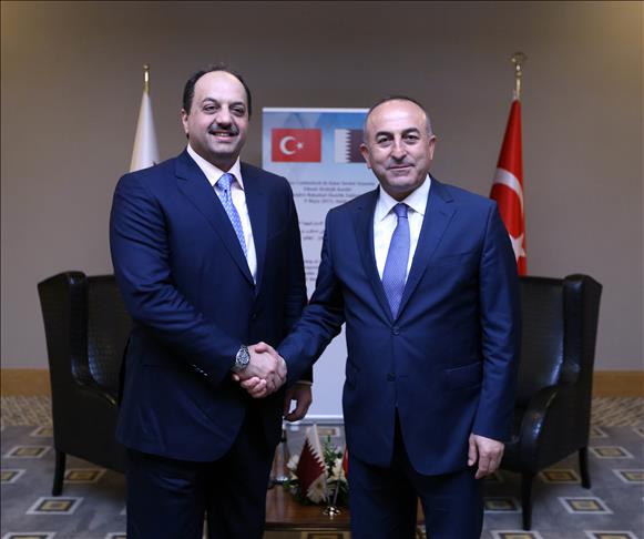 Turkish, Qatari foreign ministers back truce in Yemen