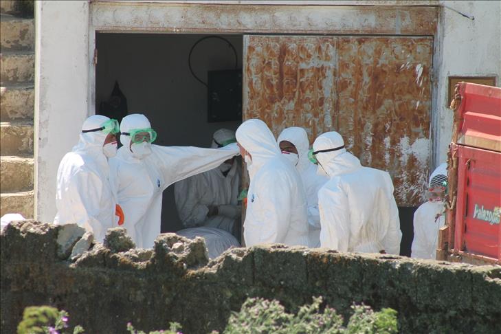 Bird flu quarantine in northern Turkey
