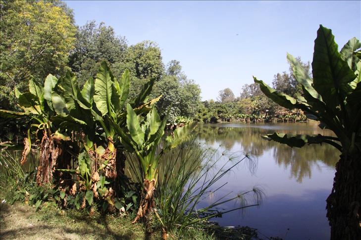 Madagascar: "l'Ile au Trésor" n'a pas encore livré ses derniers secrets