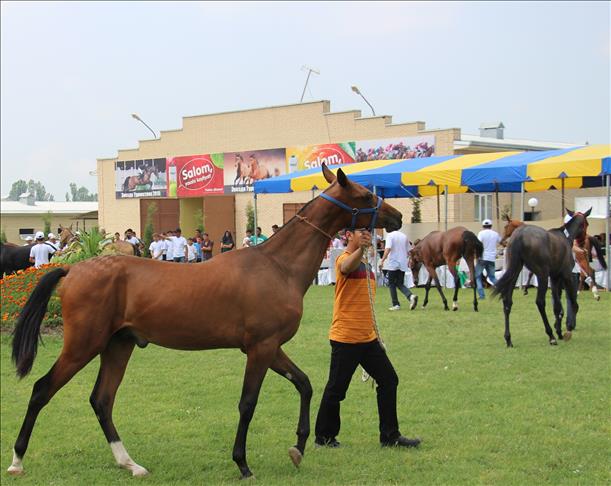 Uzbekistan hosts central Asia horse tournament