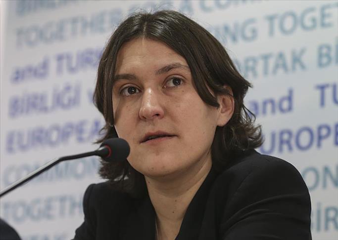 EU Rapporteur concerned over freedoms in Turkey