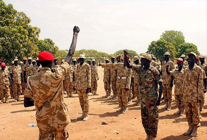 Nijerya ordusu 30 Boko Haram militanını öldürdü