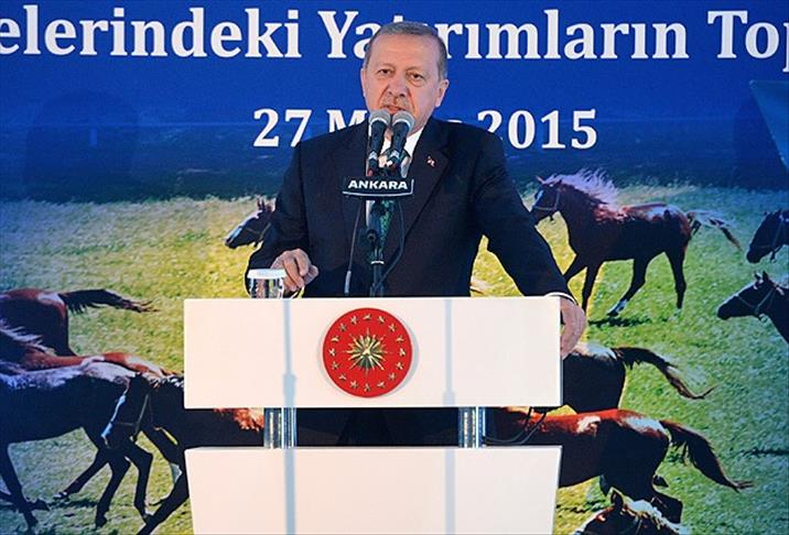 أردوغان: الخيل أحد أدوات بناء الحضارة