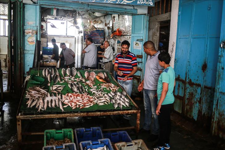 الانتهاكات الإسرائيلية تُلحق أضرار فادحة بموسم "السردين" في غزة