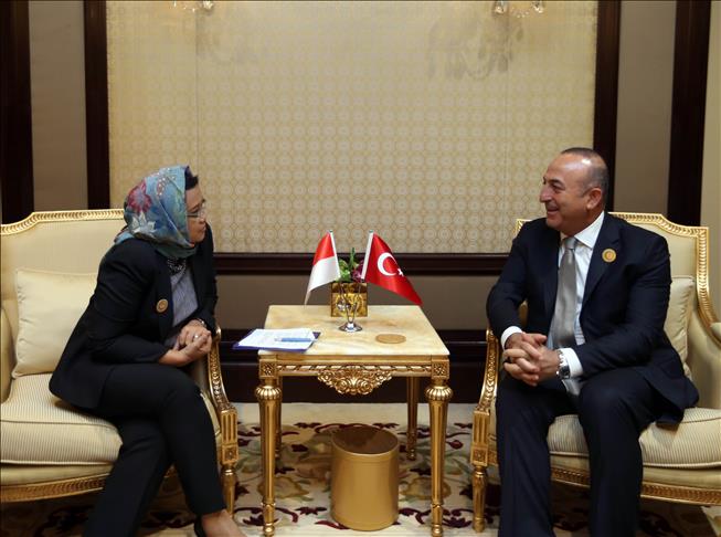 Turkey's FM meets with counterparts in Kuwait