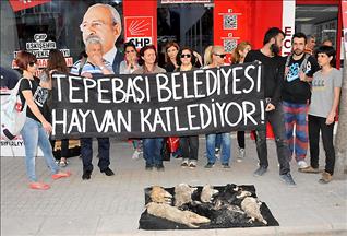 Hayvanseverlerden CHP'li belediyeye protesto