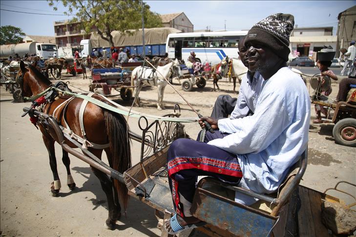 Sénégal: à Rufisque, la calèche reine des routes