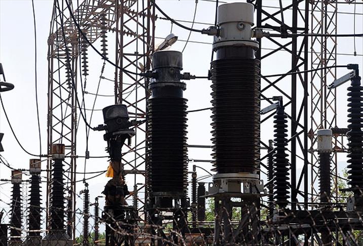 ABD'de elektrik kesintisinin nedeni trafoya giren sincapmış