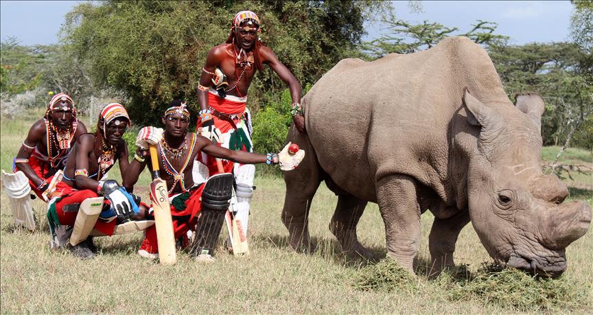 Kenya's Maasai warriors fight to save last white rhinos
