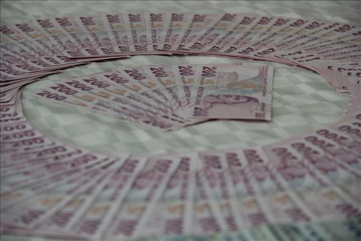 IFC launches bond program in Turkish Lira