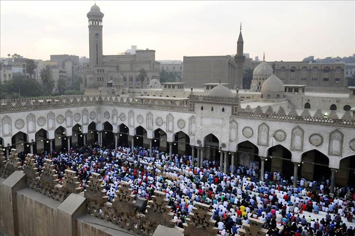 Egypt to remove Brotherhood books from mosque libraries
