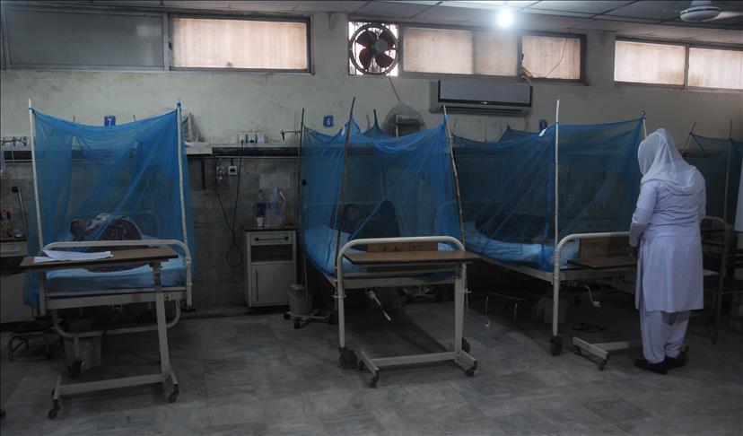 Over 8,000 Yemenis stricken with Dengue fever