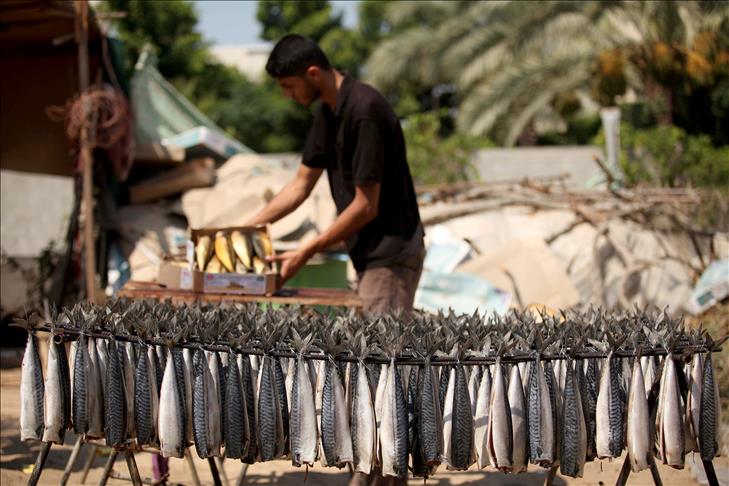 "الرنجة" المصرية تزين موائد الغزيين في أول أيام عيد الفطر