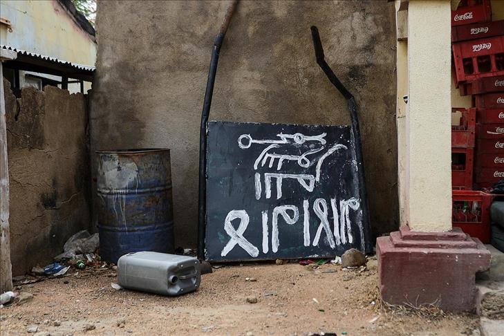 Nigerien army kills 31 Boko Haram militants over past week