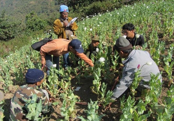 Cambodia to join regional Anti-Narcotics Operations