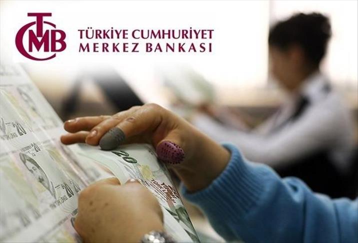 Turkish central bank publishes monetary policy plan