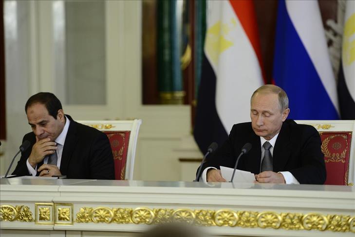 Russia to build nuclear power plant in Egypt: Putin