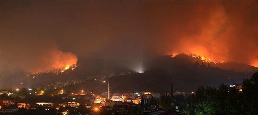Bursa'da orman yangını