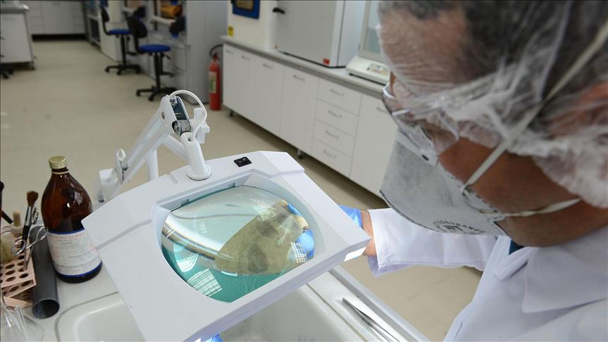 Modified blood cell shows promise in cancer treatment