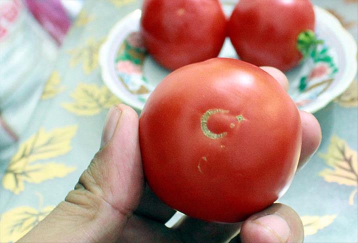 Domatesteki ay yıldız figürü dikkati çekiyor