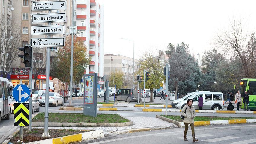 Diyarbakır'da düzenlenecek teröre tepki yürüyüşü