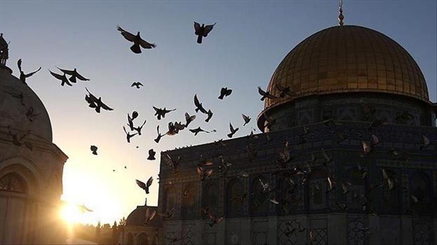 پارلمان عربی: اسرائیل دست به نسل کشی فلسطینیان زده است