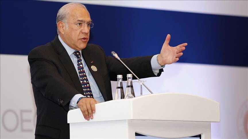 OECD chief voices concern over global investment
