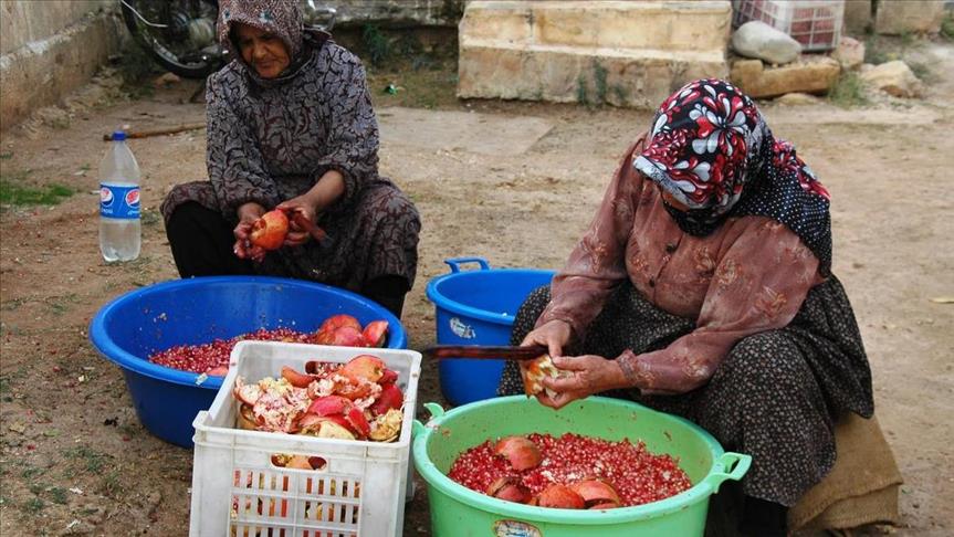 سركەی هەنار وەك خۆراك و دەرمان لە سووریا بەكار دەهێنرێت