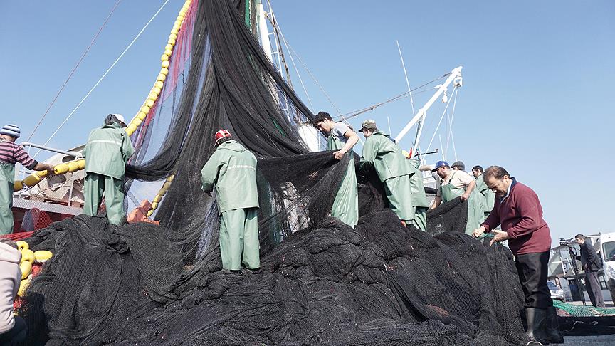 Balıkçılar istavrite hasret kaldı