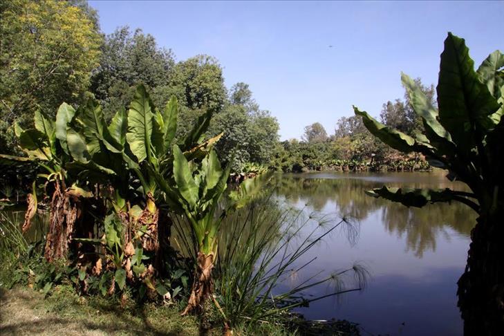 Au Congo, des braconniers deviennent gardes-forestiers